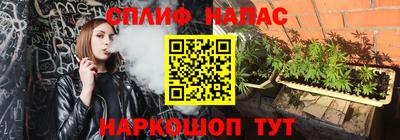 хмурый Тара