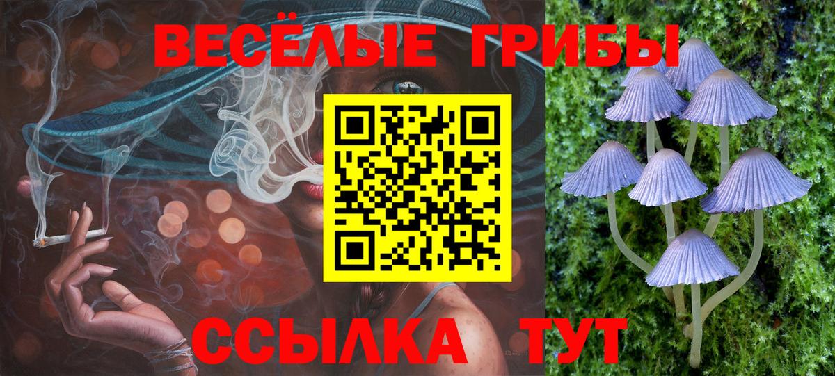 Норильск  Псилоцибиновые грибы Cubensis  Вход с VPN 