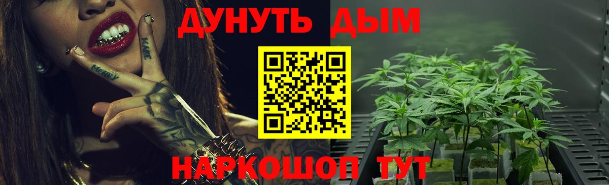Конопля индика Норильск